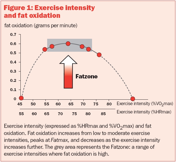 exercise intensity and fat oxidation