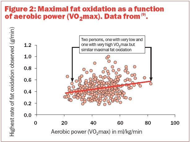 maximal fat oxidation as a function of aerobic power