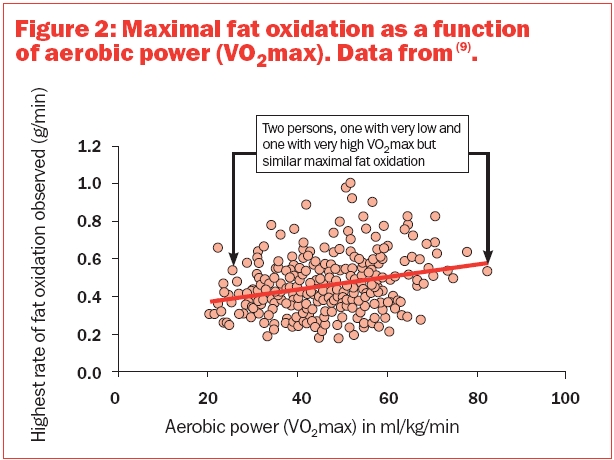 maximal fat oxidation as a function of aerobic power