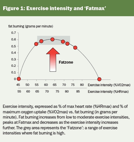 exercise intensity and fatmax