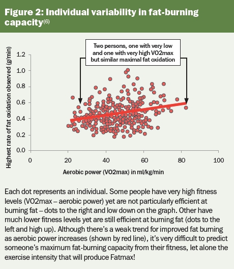 individual variability in fat-burning capacity