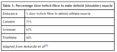 slow twitch fibre in male deltoid