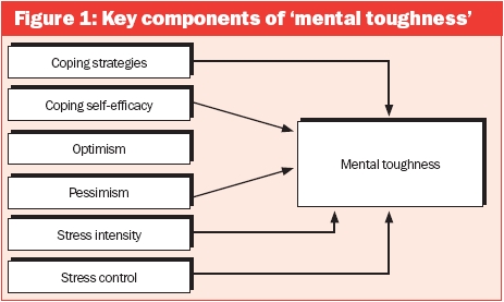components of mental toughness