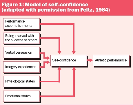 model of self confidence