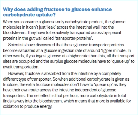 Why does adding fructose to glucose enhance carbohydrate uptake?