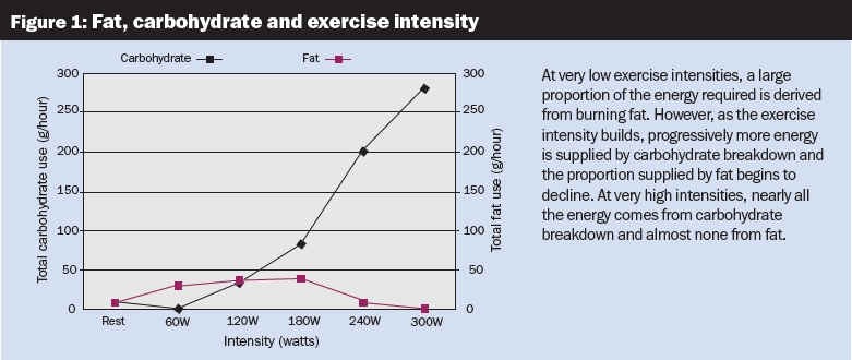 Fat, carbohydrate and exercise intensity