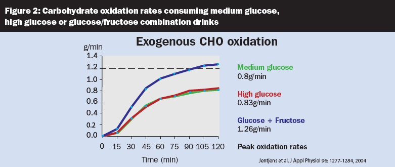Carbohydrate oxidation rates
