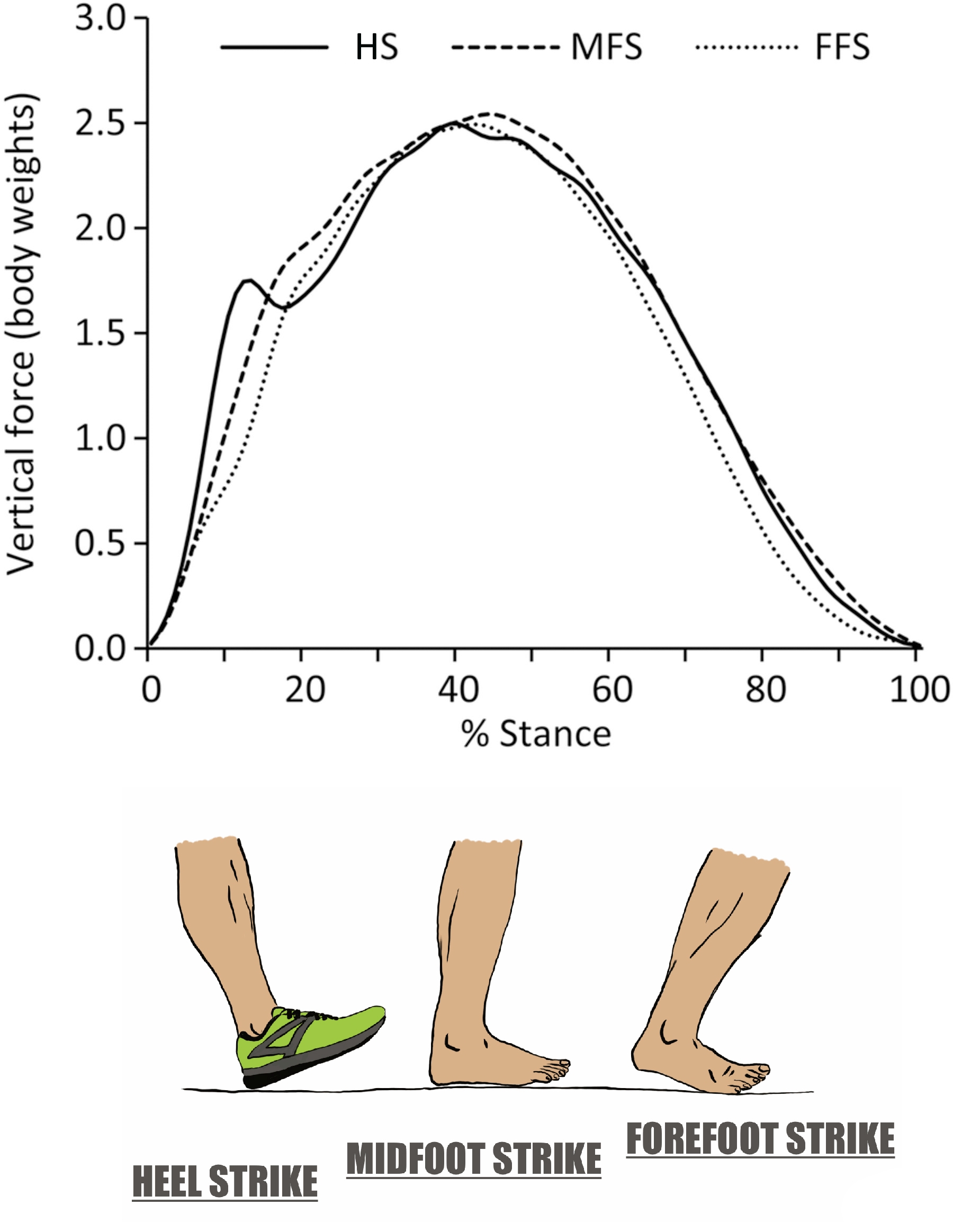 Foot strike pattern and impact forces