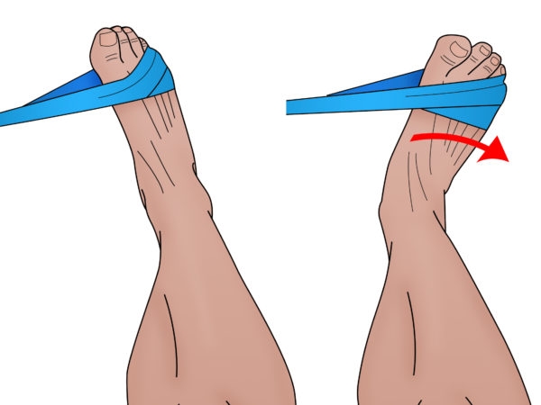 Sports Performance Bulletin - Muscles and tendons - Ankle sprains: a  balanced approach to recovery